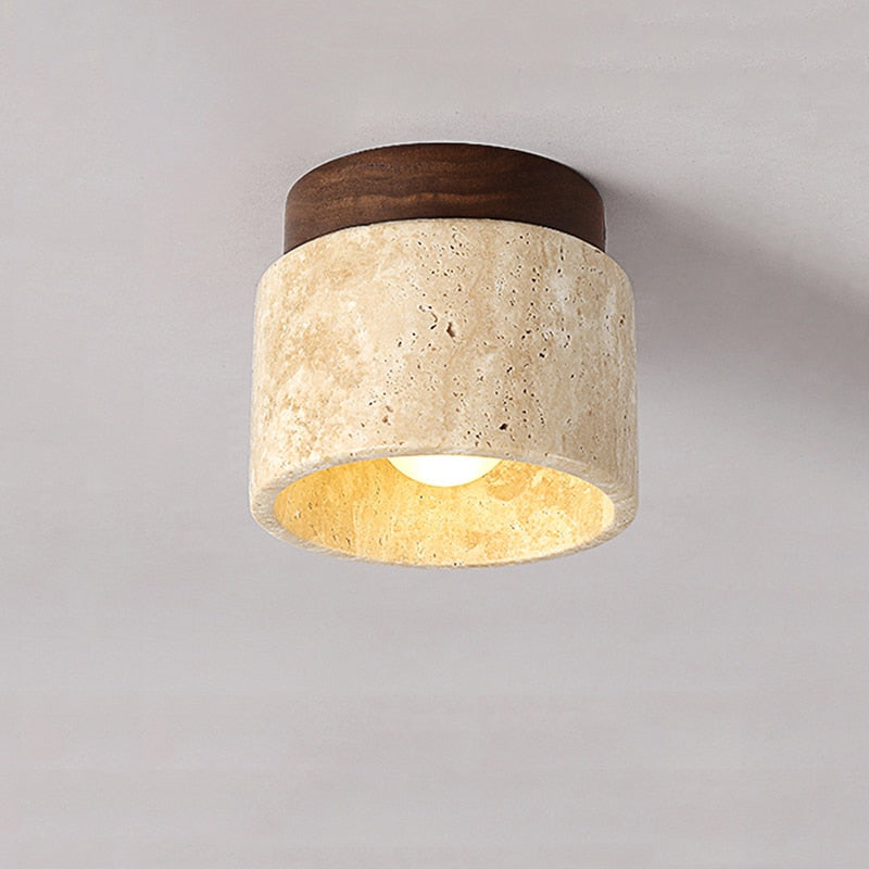 Ceiling Light